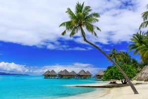 108 tropical-island_orig